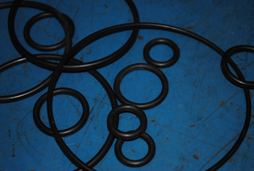 Multiple sizes and types of o-rings are shown here.